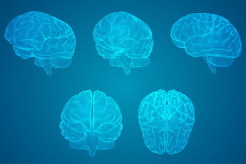 什么蛇最厉害？