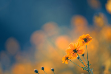 美利达13款挑战者600与14款挑战者700的区别