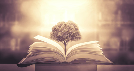 如何理解现代化旅游是市场经济高度发展的产物