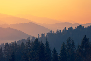 什么蛇最厉害？