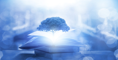 保护环境的小知识