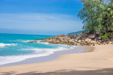 什么蛇最厉害？