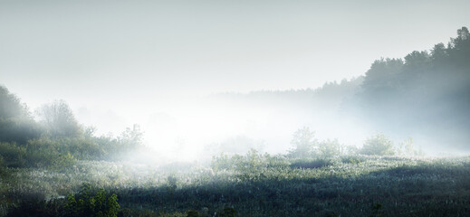 中国节气的有关知识