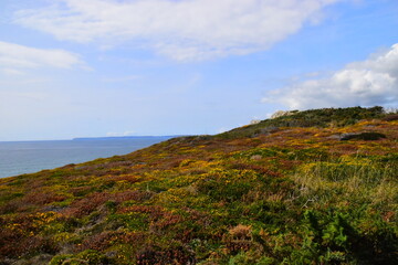各种动物怎么说？