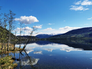 如何理解现代化旅游是市场经济高度发展的产物