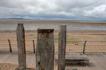 各种动物怎么说？