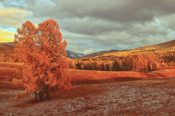 房车法美瑞最新消息