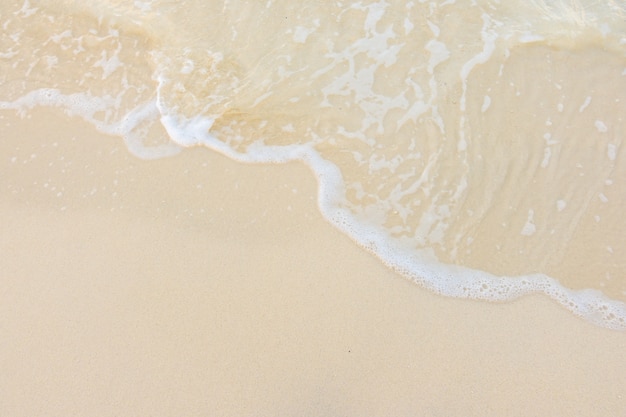 各种动物怎么说？