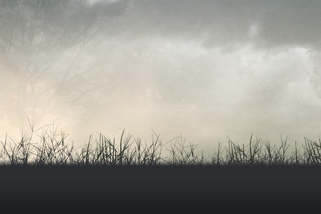 保护环境的小知识