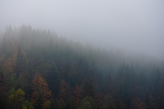 中国节气的有关知识