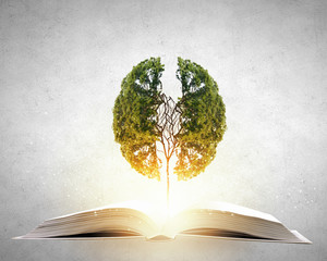 中国节气的有关知识