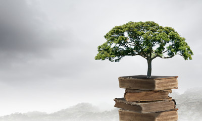 美利达13款挑战者600与14款挑战者700的区别