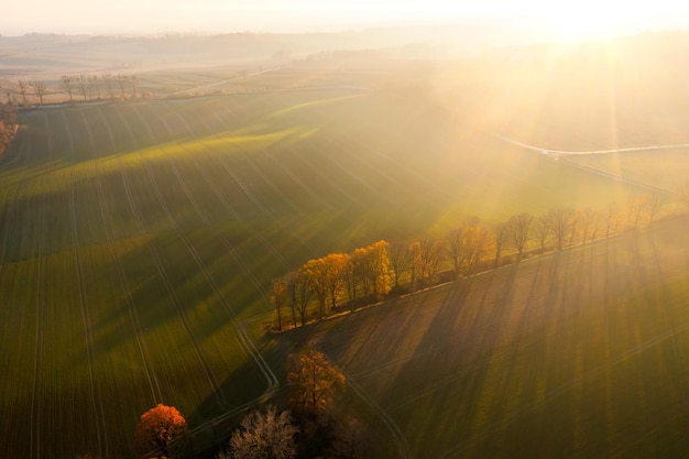 房车法美瑞最新消息