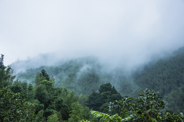 美利达13款挑战者600与14款挑战者700的区别